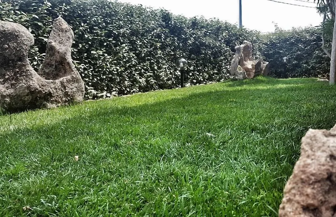 B&B Da Sabrina-1