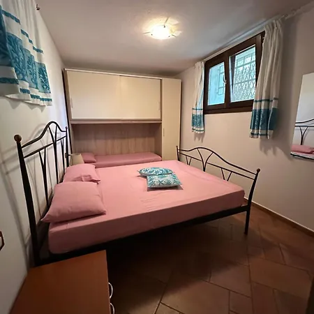 B&B Chorisia-3