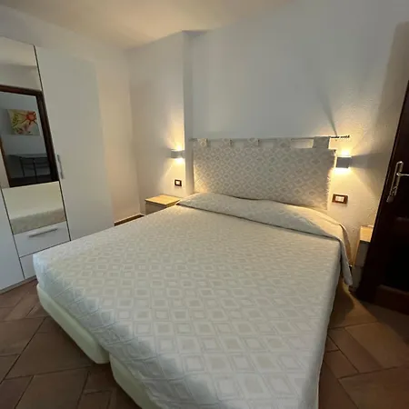 B&B Chorisia-2